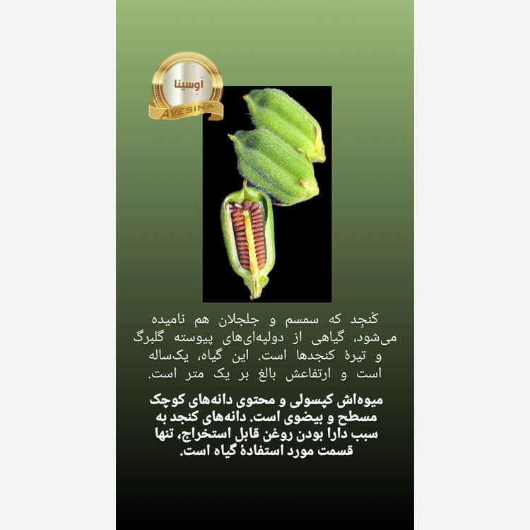 روغن کنجد 12 لیتری اوسینا با ارسال رایگان