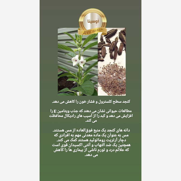 روغن کنجد 12 لیتری اوسینا با ارسال رایگان